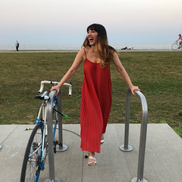 Meet your Posher, Sammy - Picture 1 of 1